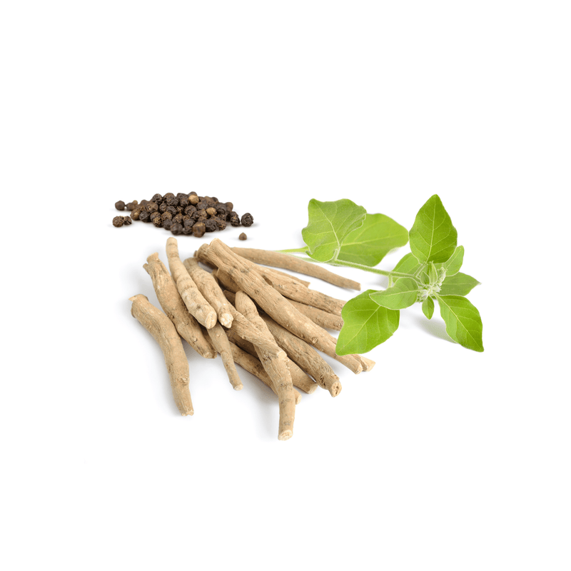 Ashwagandha + Black Pepper - Vitaxx